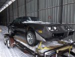 trans am 81 004 (Small).JPG