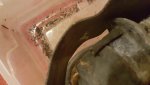 20160213_165929.jpg