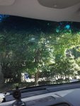 20200503_092120.jpg