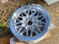 17x9 Snowflake raw.jpg