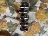 Yr1lugnuts2.jpg
