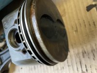 IMG_4981.jpg IMG_4981.jpg