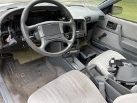 IMG_6349.jpeg