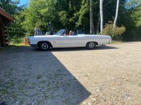 Cat side view.jpg Cat side view.jpg