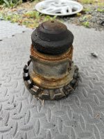 IMG_4546.jpeg