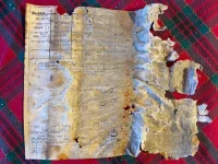 IMG_2194.webp IMG_2194.webp