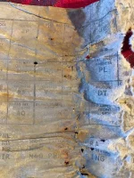 IMG_2197.webp IMG_2197.webp