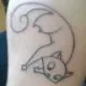 flipperpie