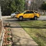 YellowAztekinNEOhio