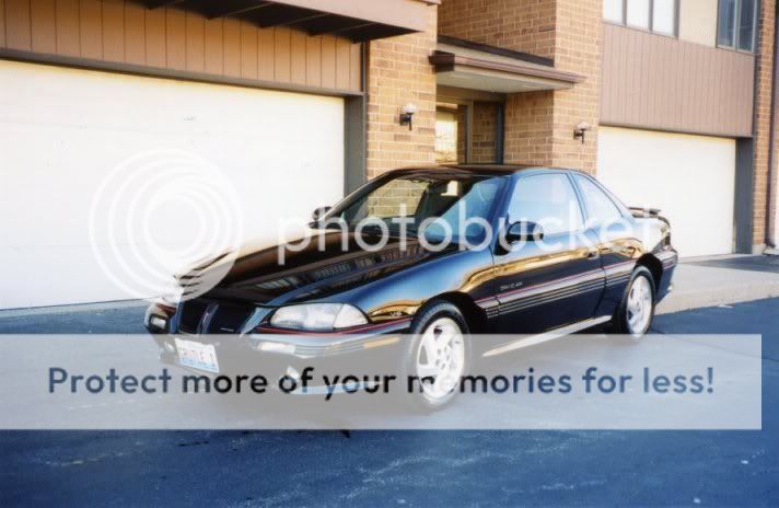grutle1-0306-1b.jpg