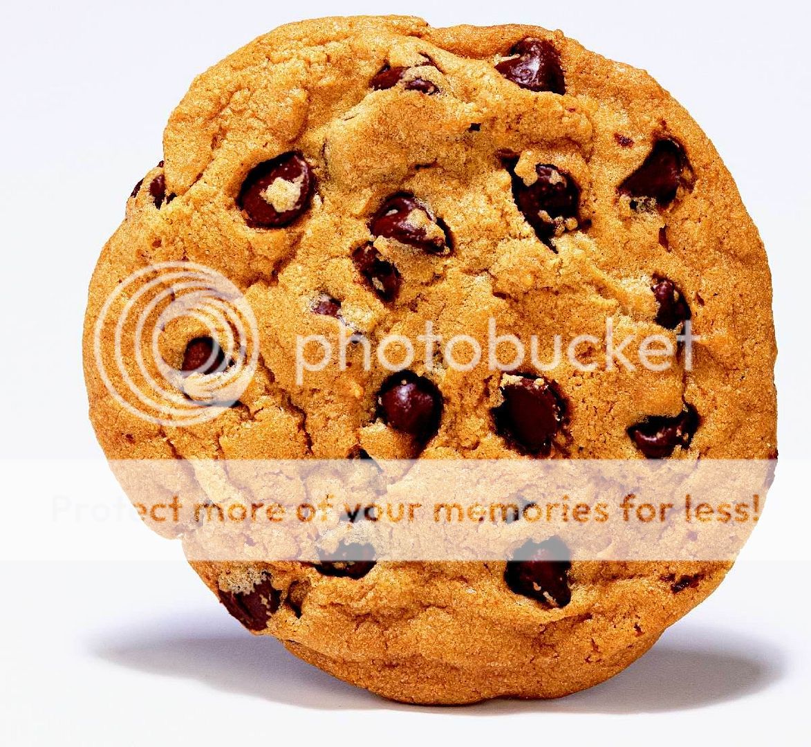 CHOCOLATE_CHIP_COOKIE.jpg