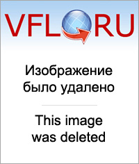 16159795.jpg